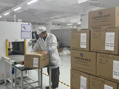 智能電表行業(yè)迎來發(fā)展新契機(jī) 技術(shù)革新與市場需求雙輪驅(qū)動(dòng)計(jì)量技術(shù)服務(wù)升級(jí)