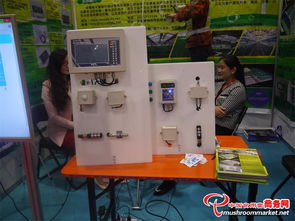 科技賦能 味蕾綻放——3000多項(xiàng)食用菌產(chǎn)品技術(shù)亮相青島會(huì)展，計(jì)量技術(shù)服務(wù)助力產(chǎn)業(yè)升級(jí)