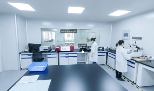 協(xié)會(huì)喜添A股新成員，廣電計(jì)量為建材家居競爭力注入科技動(dòng)力